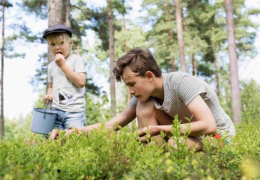 Finnish kids picking berries in the forest